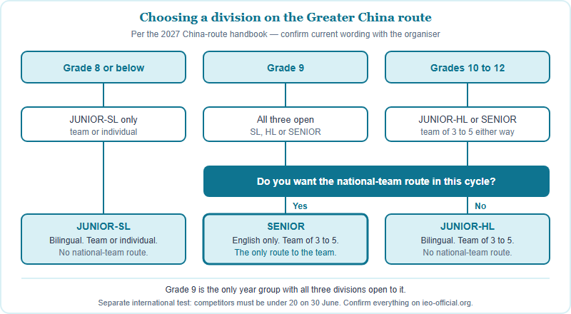 Decision tree for choosing an IEO division on the Greater China route, branching first by year group and then by whether the student wants the national-team route this cycle